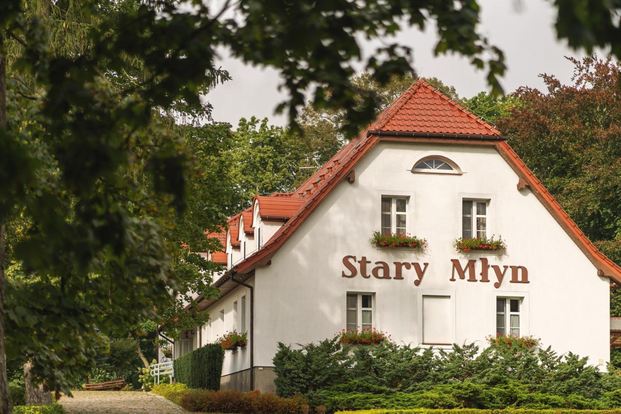 ホテル Stary Mlyn Strzeszyn Lubowo  エクステリア 写真